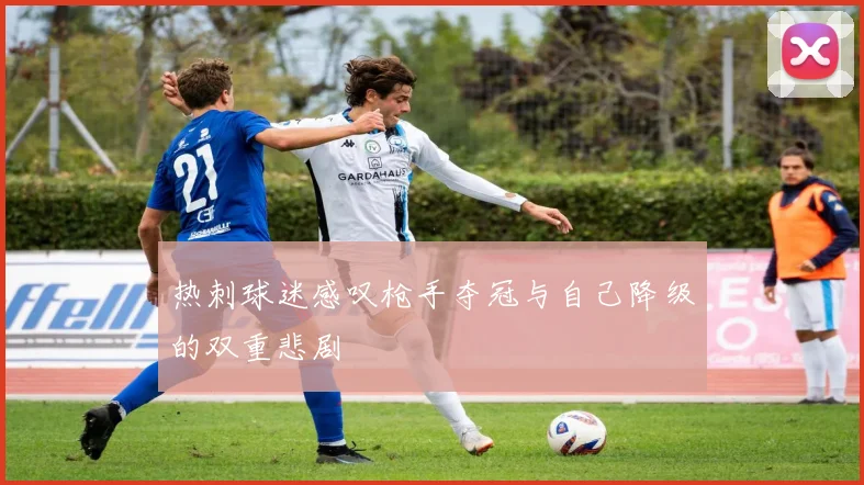 热刺球迷感叹枪手夺冠与自己降级的双重悲剧
